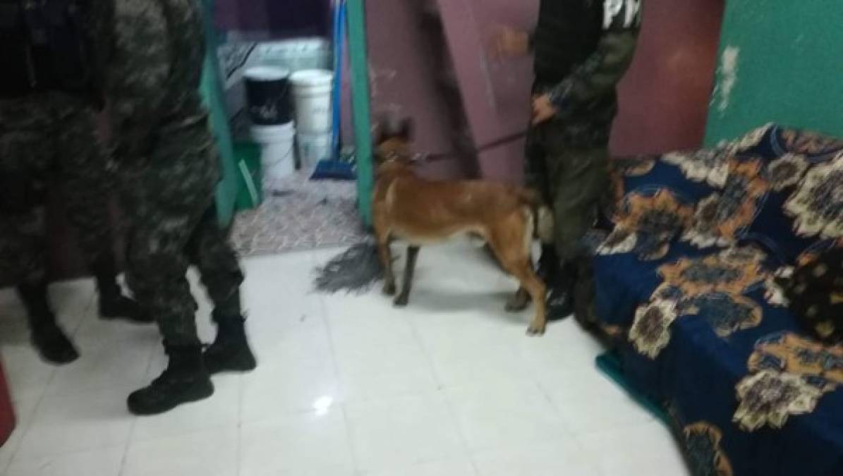 Con perros y pasamontañas, así llegaron agentes a inspeccionar varios centros penitenciarios de Honduras