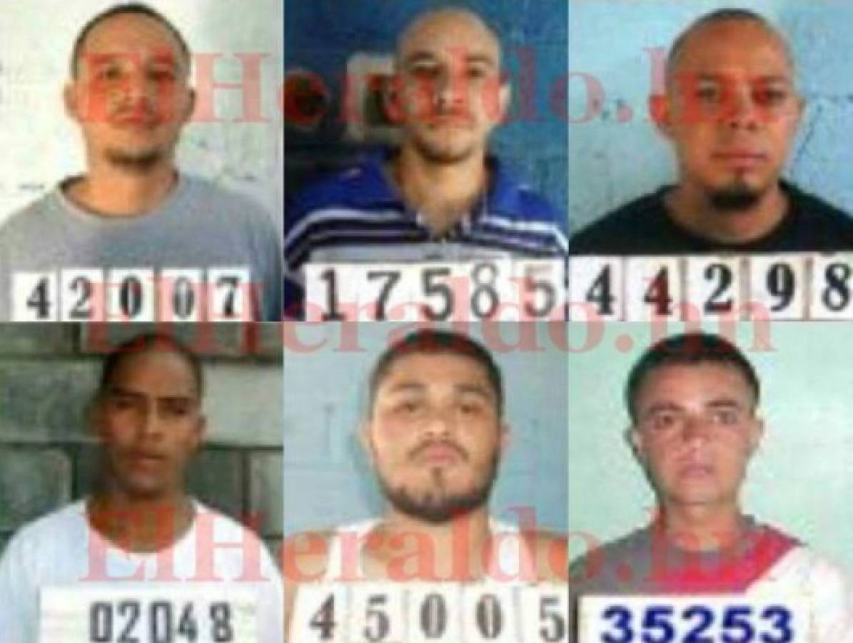 Matanzas y asesinatos cometieron pandilleros fugados de Támara