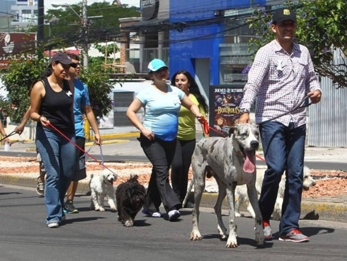 Honduras: Singular festejo para mascotas