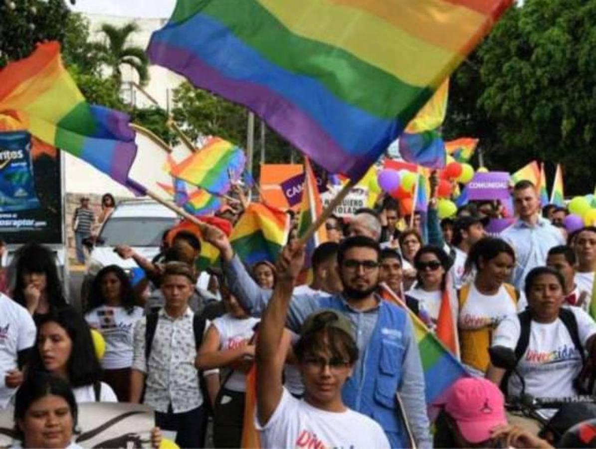 Gais solicitan a Educación ser incorporados en los desfiles