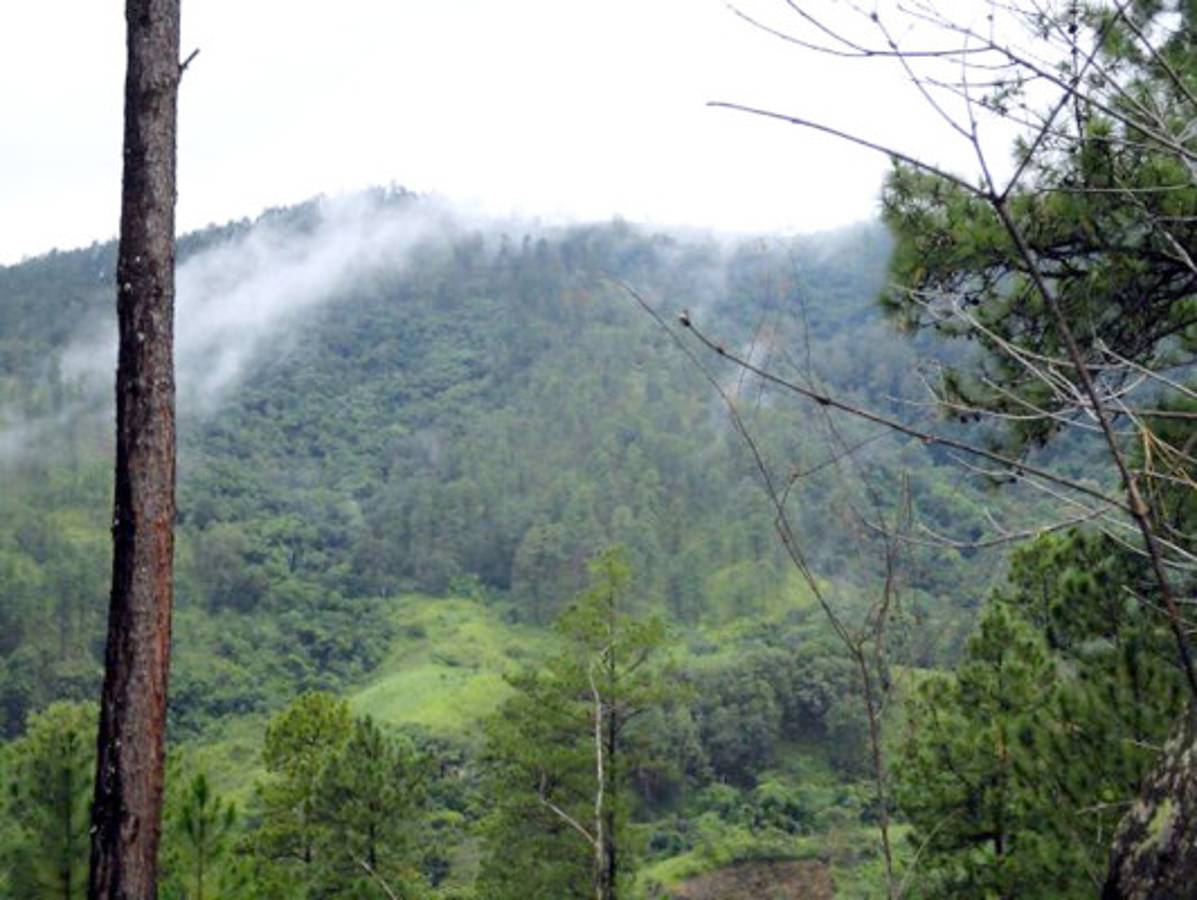 Fotos de los lectores para el Día de la Tierra