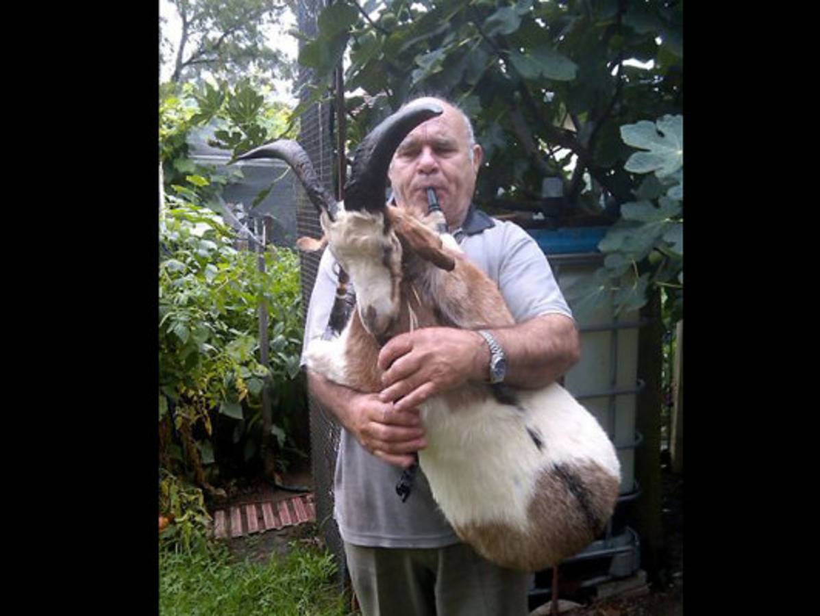 Imágenes extrañas de internet