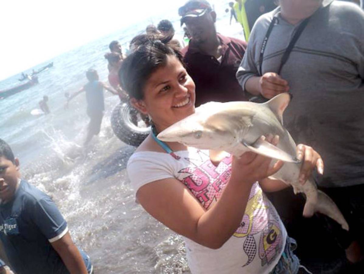Fotos de los lectores para el Día de la Tierra