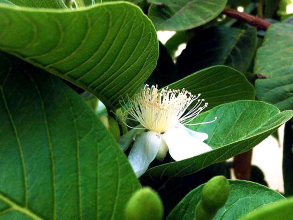 Fotos de los lectores para el Día de la Tierra