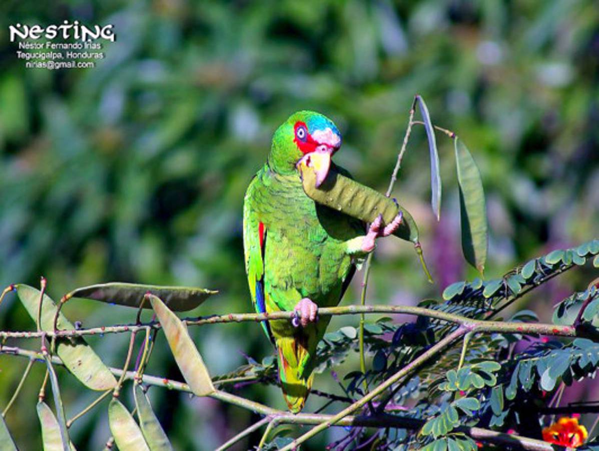 Fotos de los lectores para el Día de la Tierra