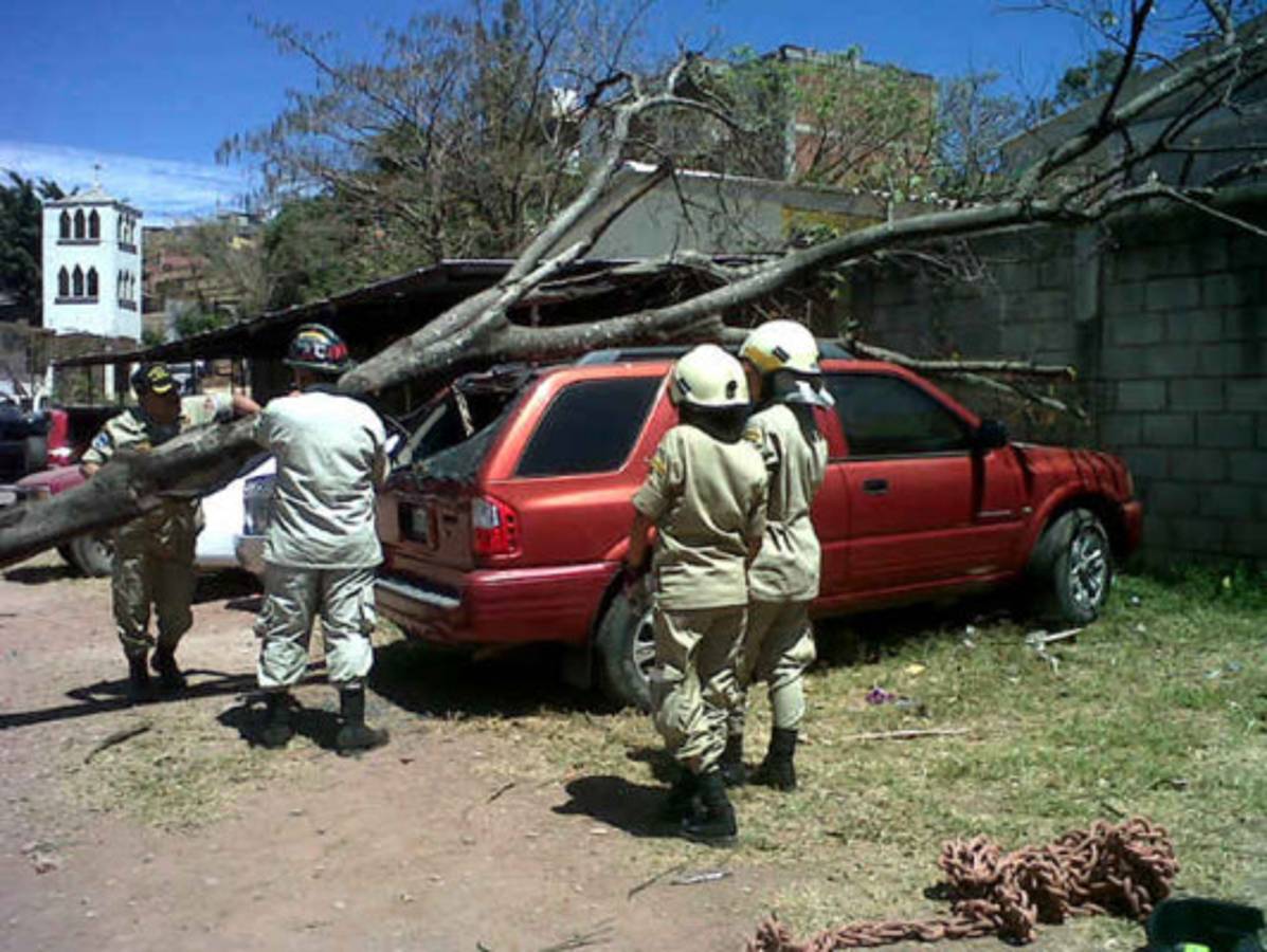 Siguen incidentes por fuertes vientos