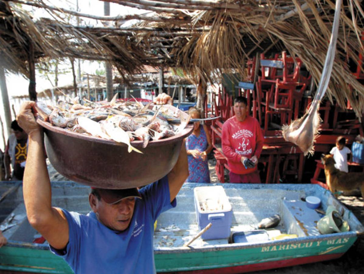 Proponen bono para los pescadores del Golfo