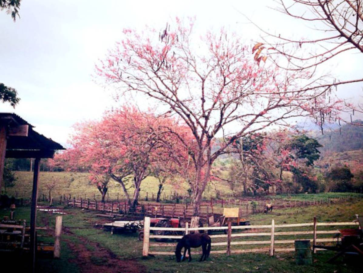 Fotos de los lectores para el Día de la Tierra