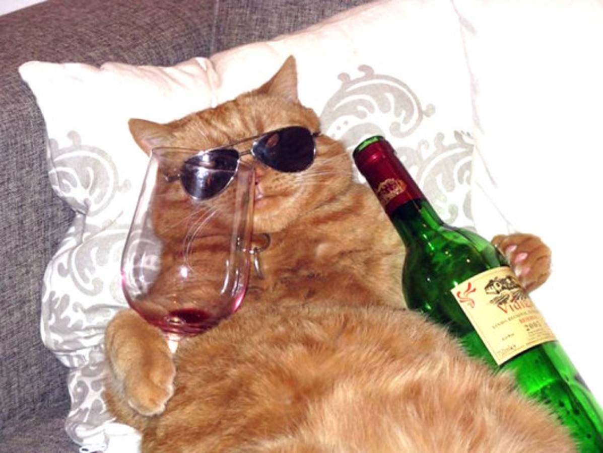 Imágenes extrañas de internet