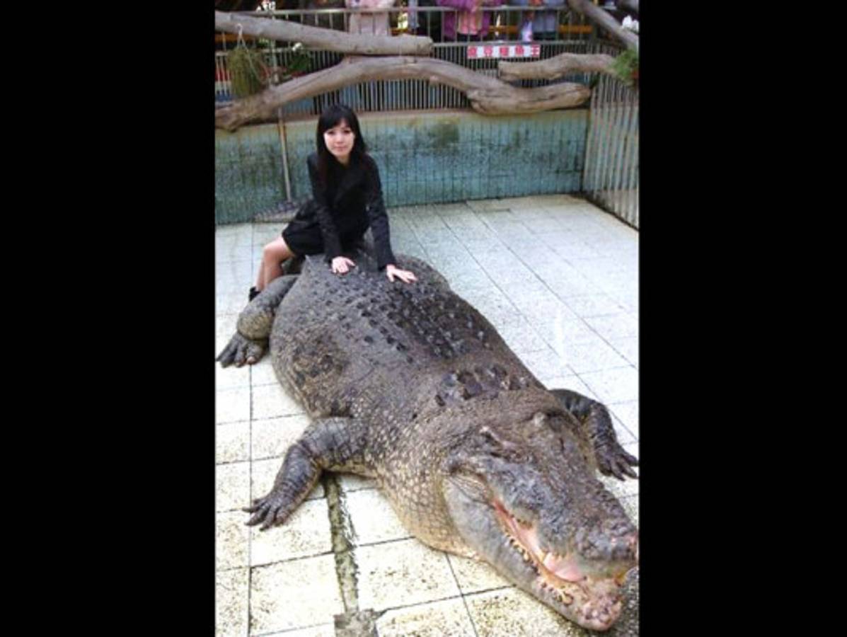 Imágenes extrañas de internet