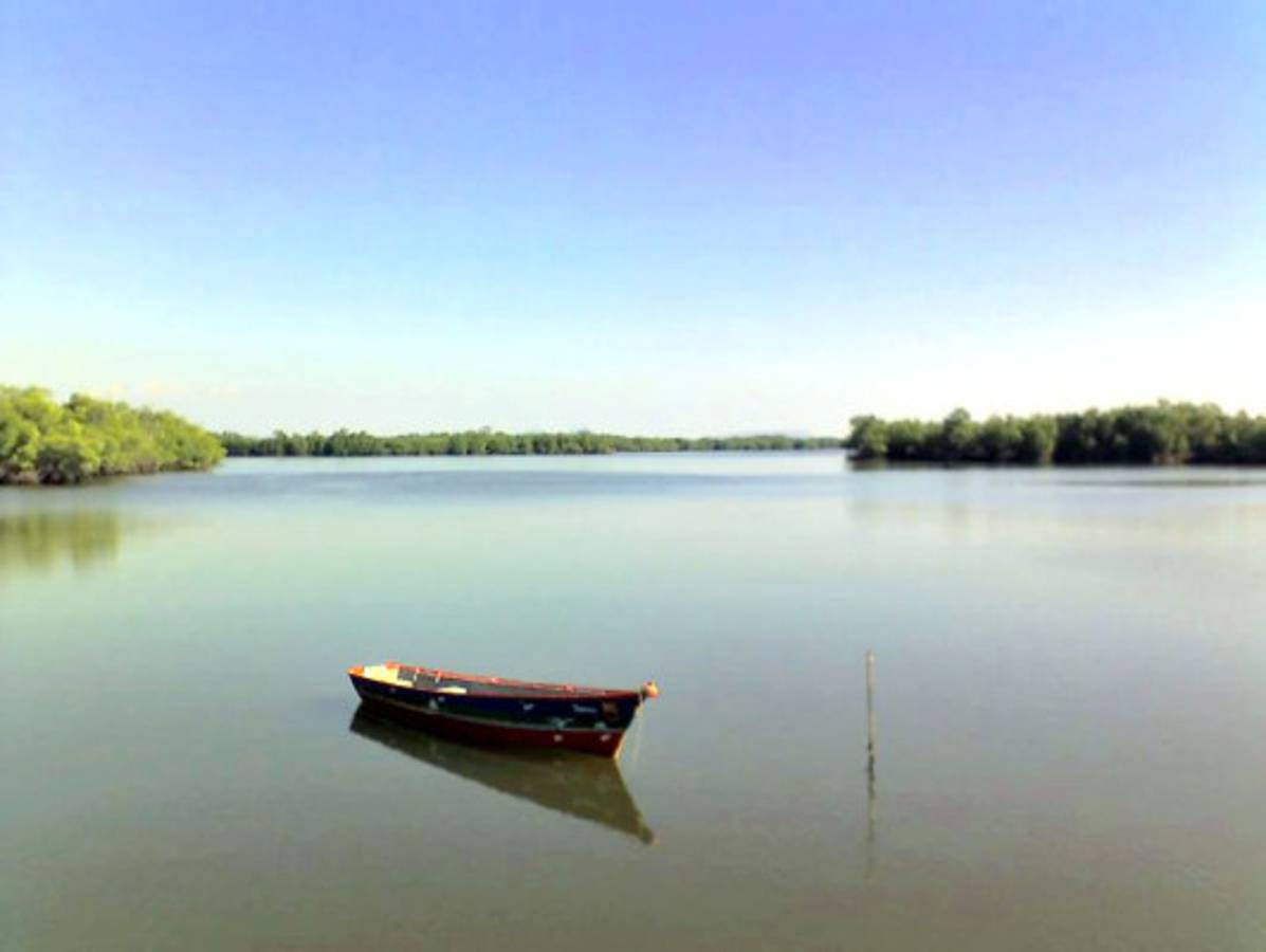 Fotos de los lectores para el Día de la Tierra