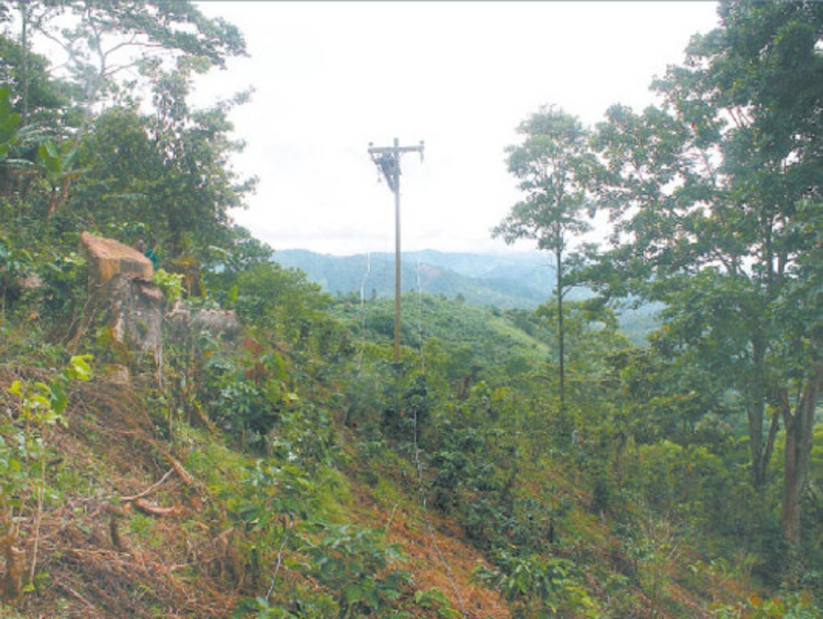 Avanza proyecto de electrificación