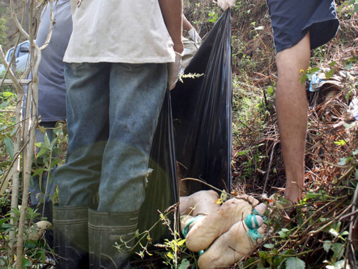 Legado del 'Gato Negro' sigue derramando sangre en Honduras