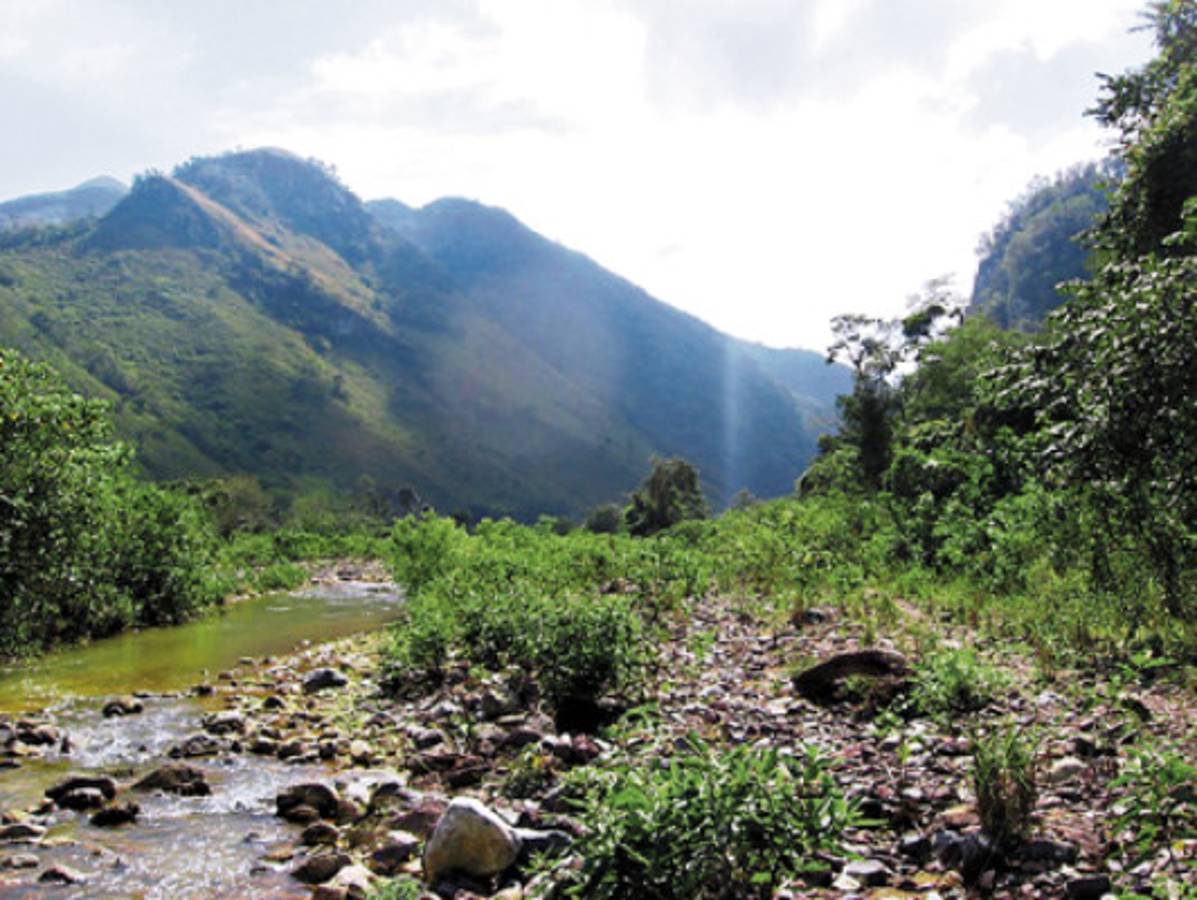 El Boquerón, área de espesa flora y fauna que invita a la diversión