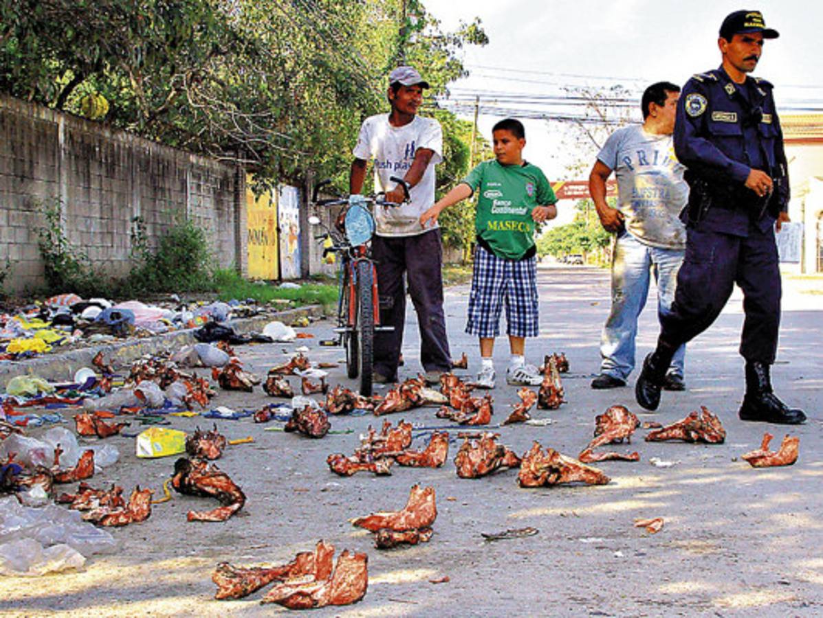 Hallan unos 300 cráneos de perros y caballos en San Pedro Sula