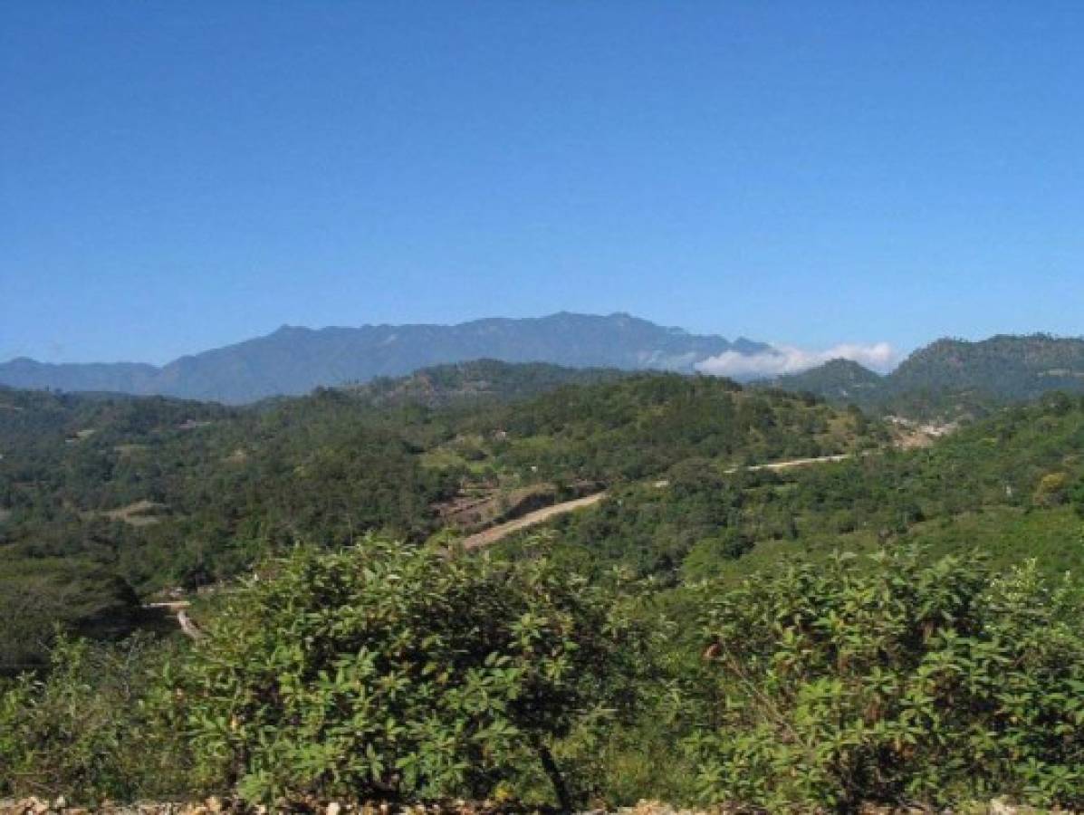 Honduras nomina Celaque para Red Mundial de Reservas de Biósferas