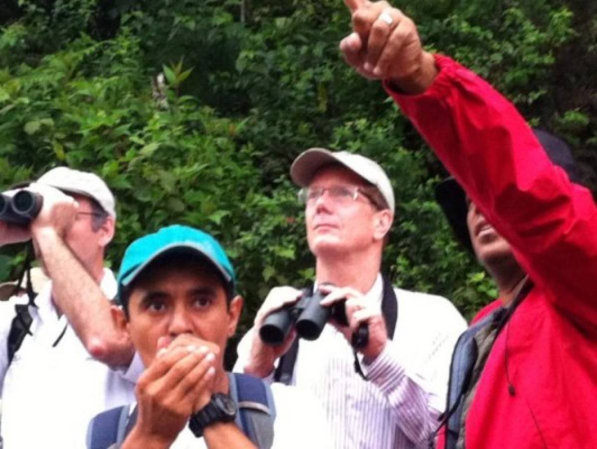 Honduras: Inauguran dos torres de avistamiento de aves en Panacam