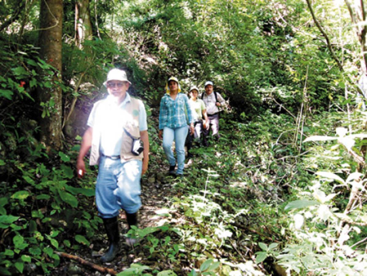 El Boquerón, área de espesa flora y fauna que invita a la diversión