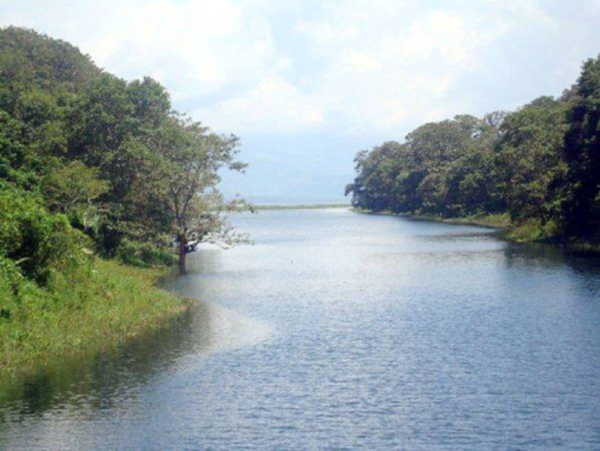 Fotos de los lectores para el Día de la Tierra