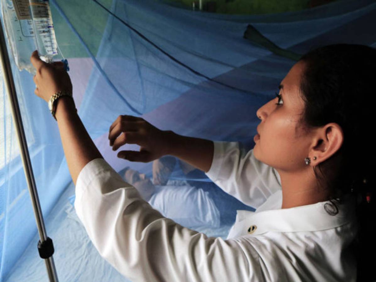 Aumenta a 15 lista de fallecidos por dengue