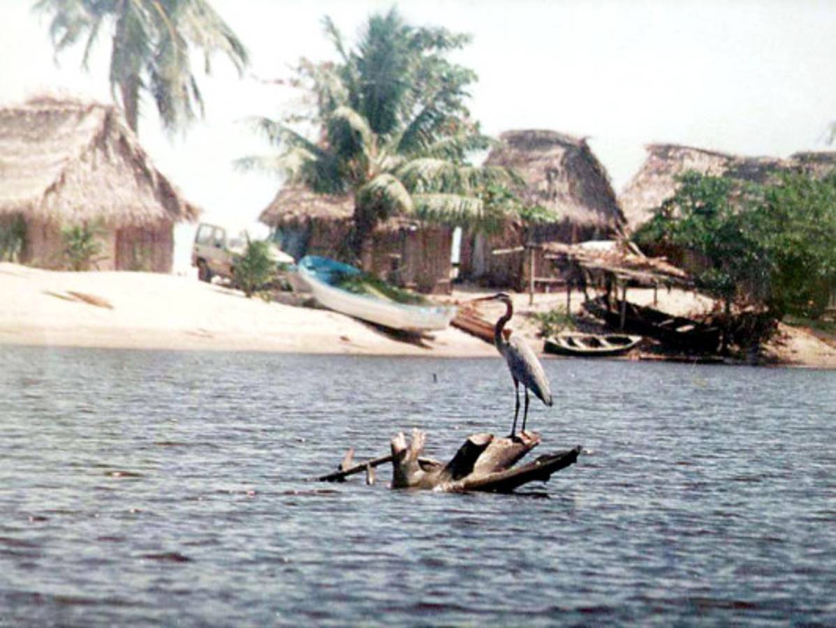 Fotos de los lectores para el Día de la Tierra