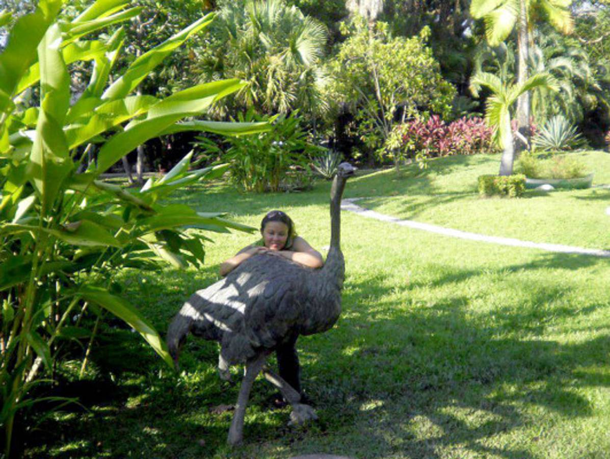 Fotos de los lectores para el Día de la Tierra