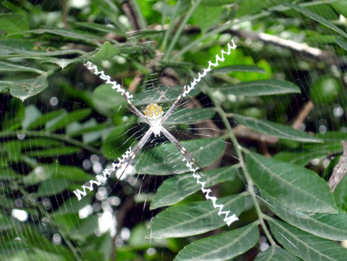 Fotos de los lectores para el Día de la Tierra