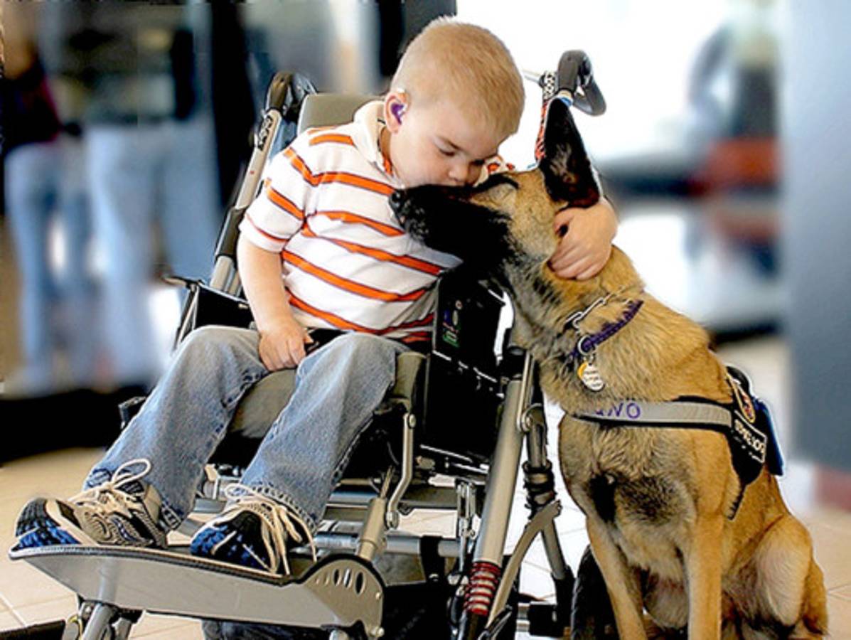 Impactantes imágenes