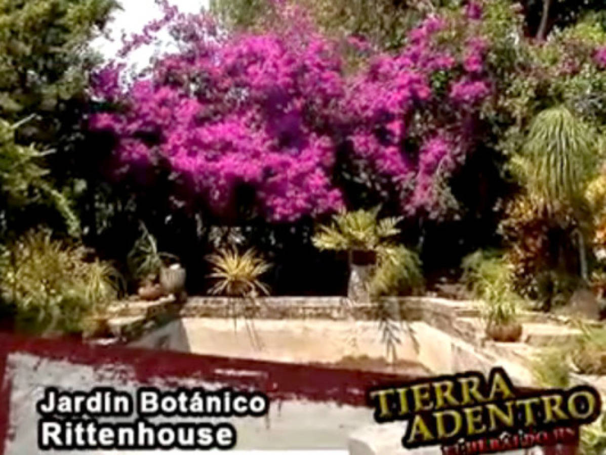 Tierra Adentro visita el jardín botánico Rittenhouse