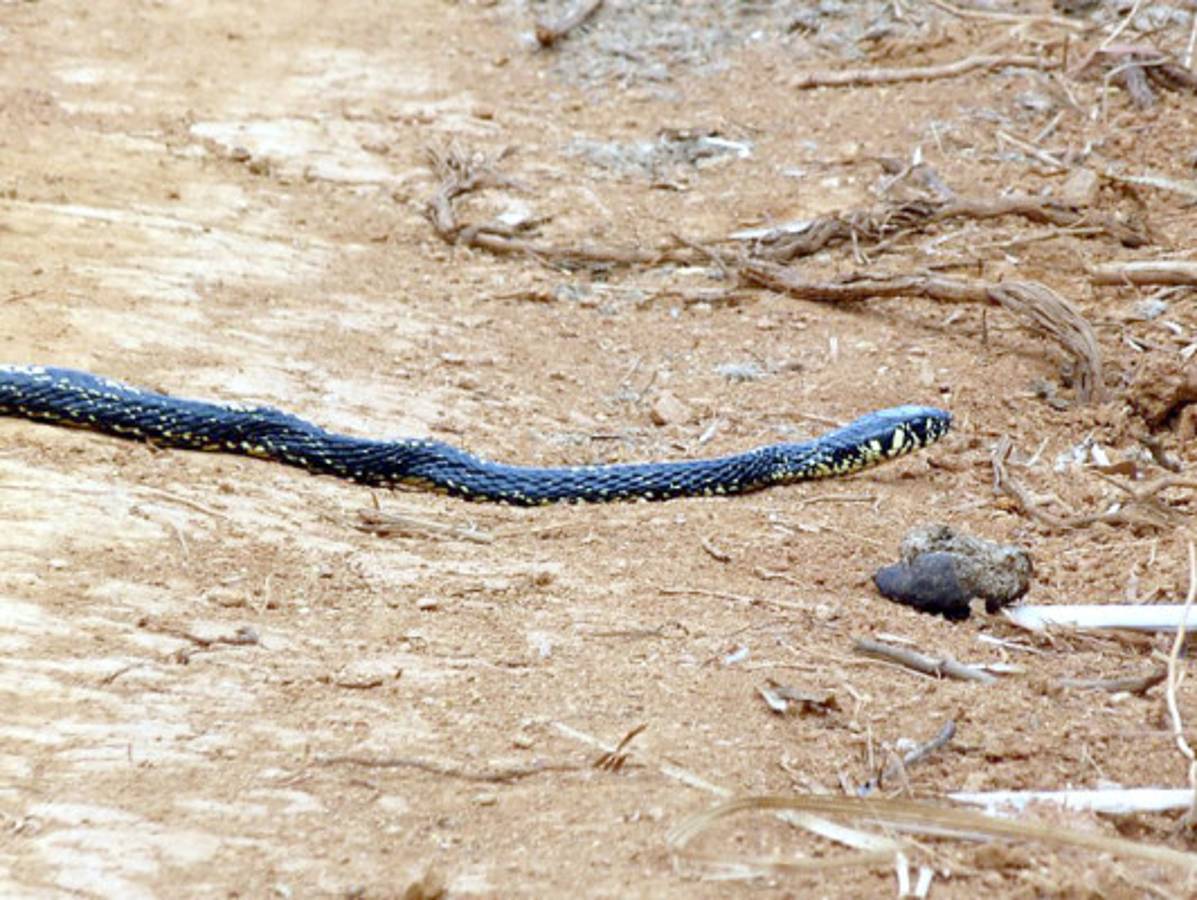 Fotos de los lectores para el Día de la Tierra
