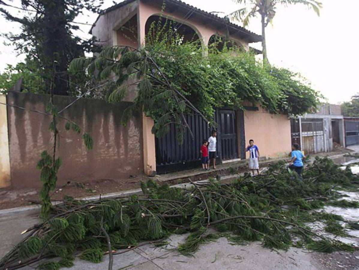Fuertes lluvias causan inundaciones en calles y avenidas de Tegucigalpa