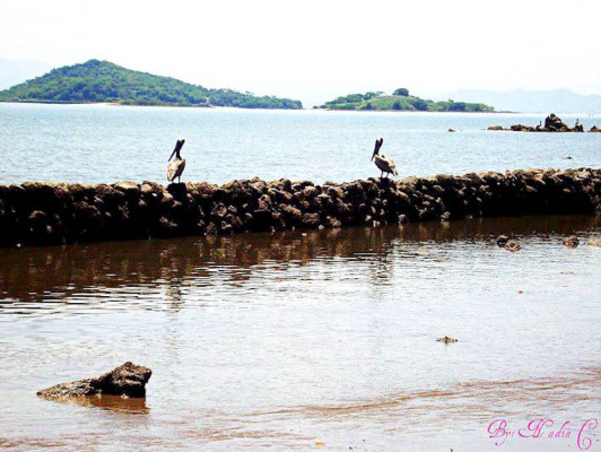 Fotos de los lectores para el Día de la Tierra