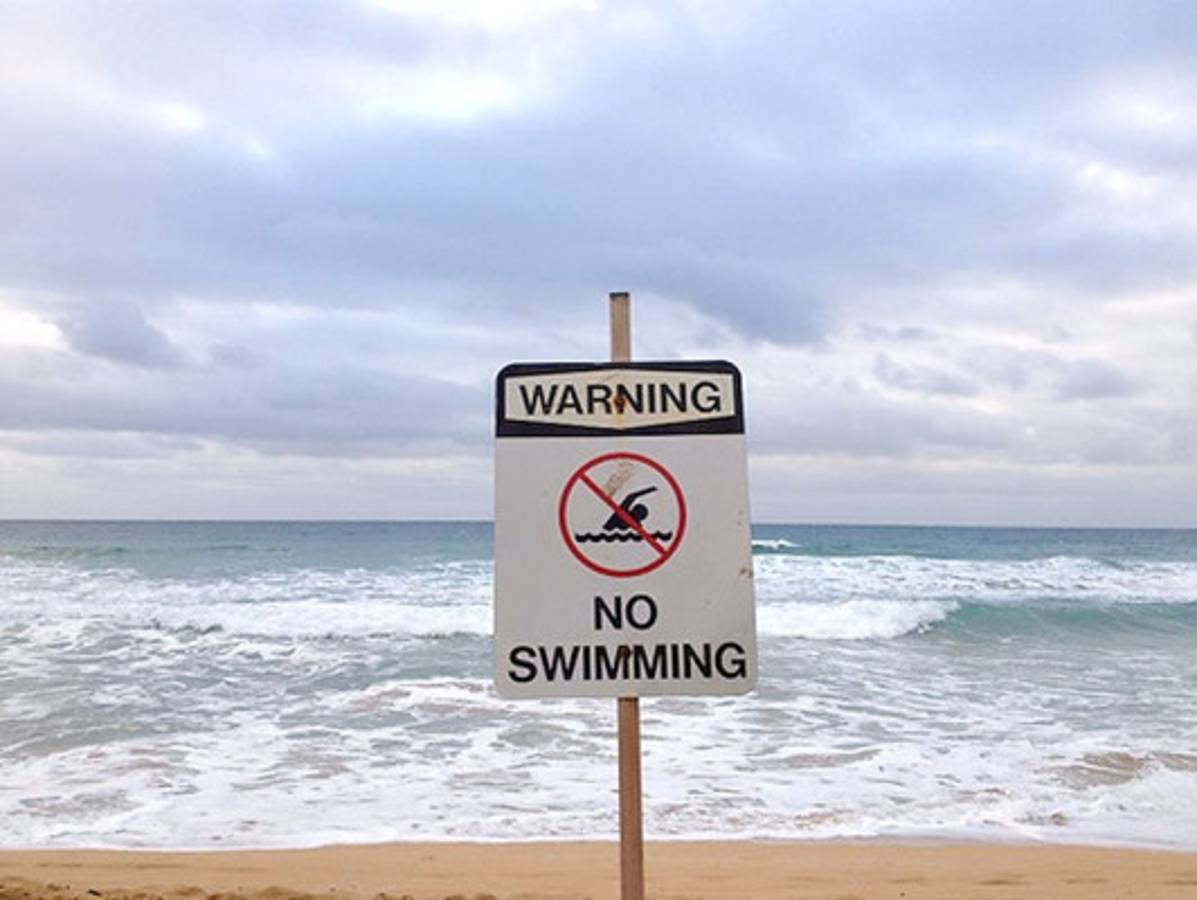 Hoy se conmemora el Día Mundial de la Tierra