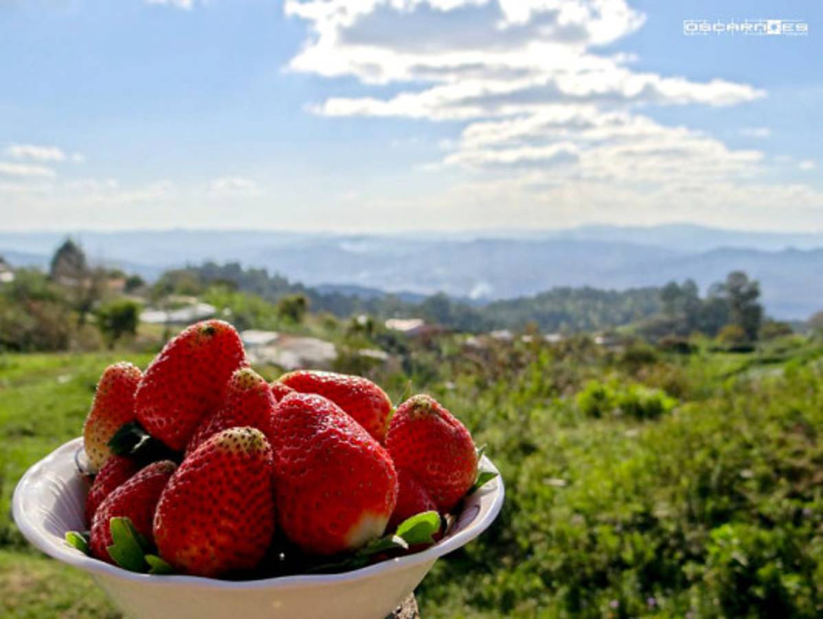 Fotos de los lectores para el Día de la Tierra