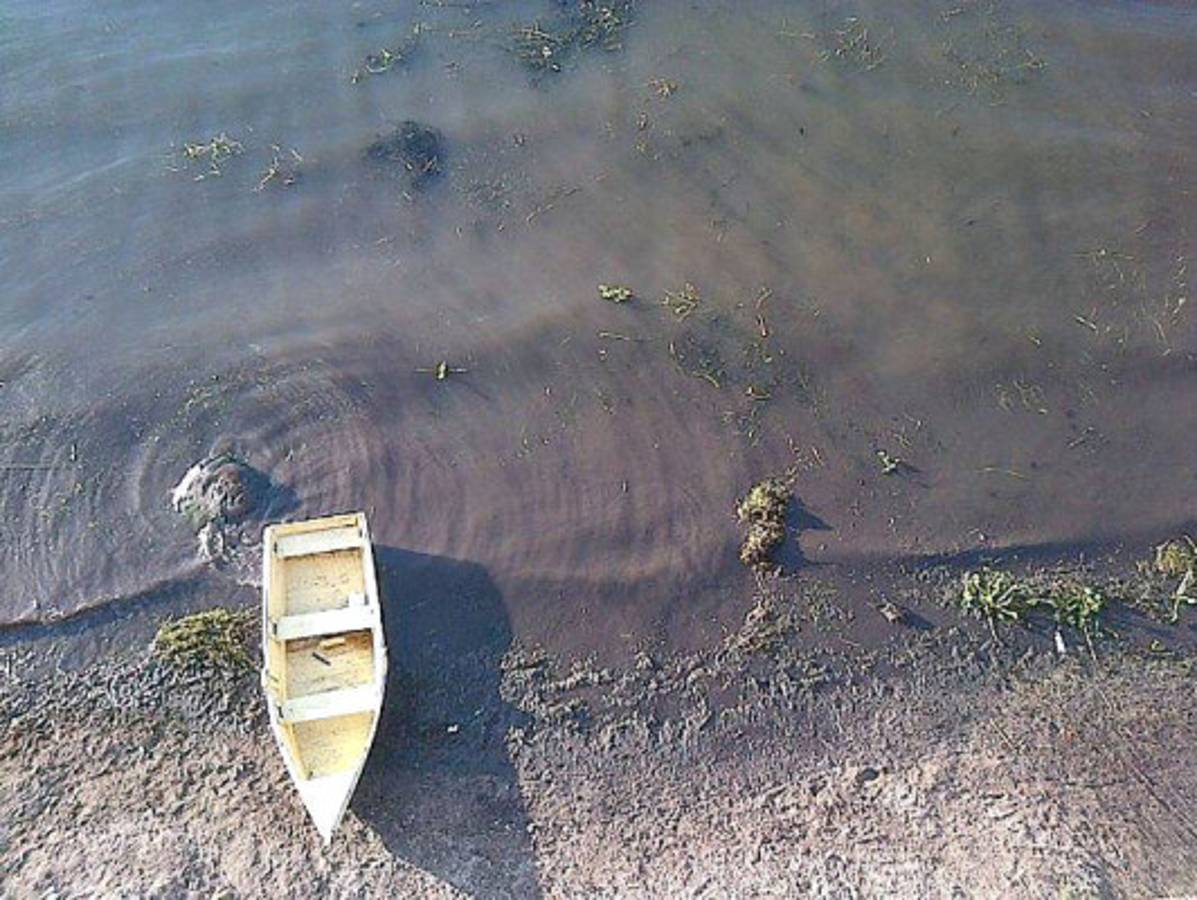 Fotos de los lectores para el Día de la Tierra