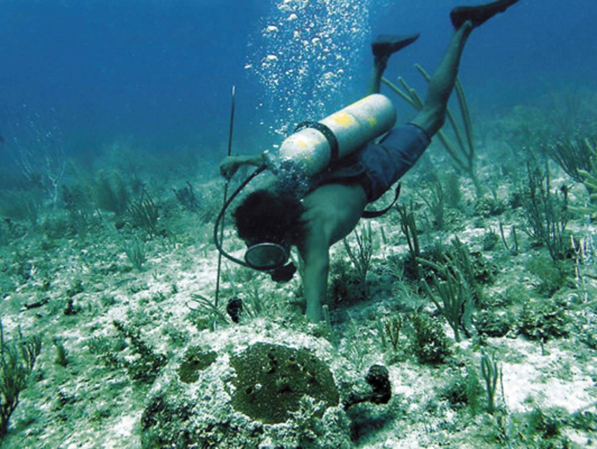 Buzos langosteros de La Mosquitia desafían a la muerte para sobrevivir