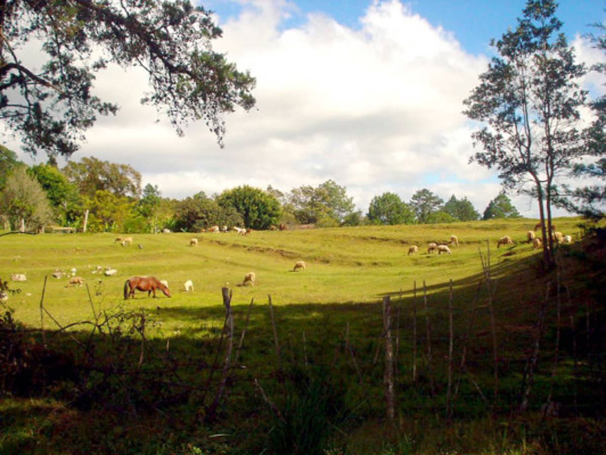 Fotos de los lectores para el Día de la Tierra