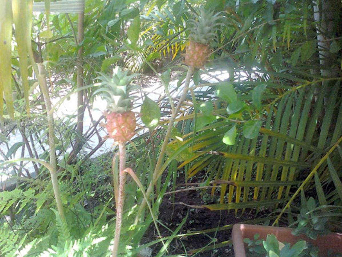 Fotos de los lectores para el Día de la Tierra