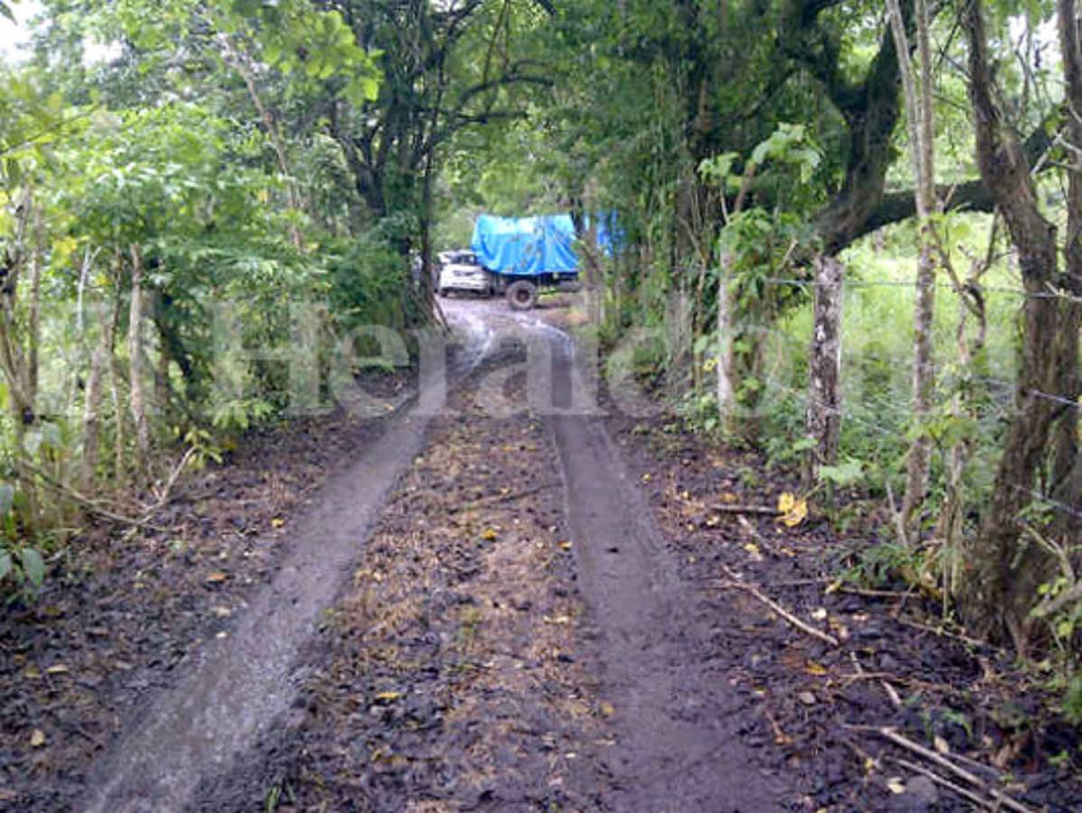 Decomiso de droga sería el más grande en la historia de Honduras