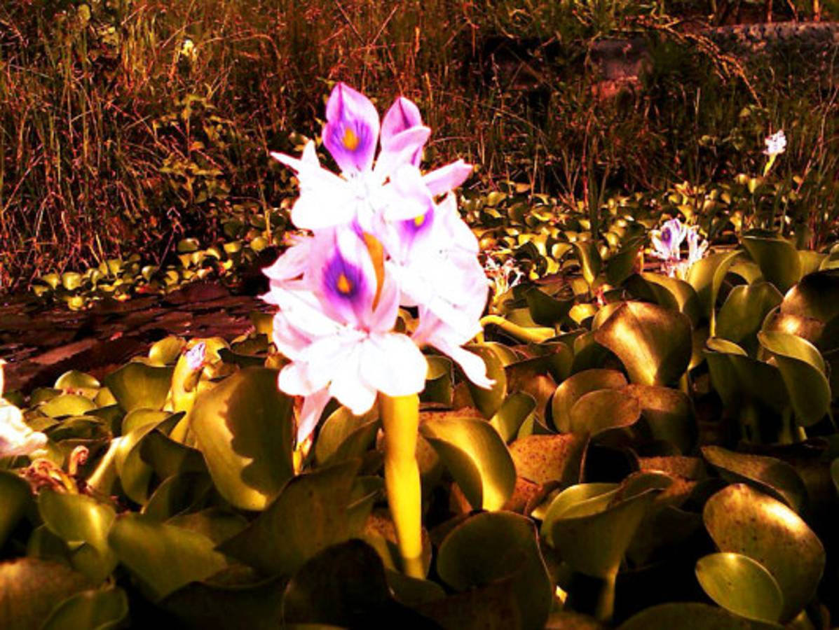 Fotos de los lectores para el Día de la Tierra