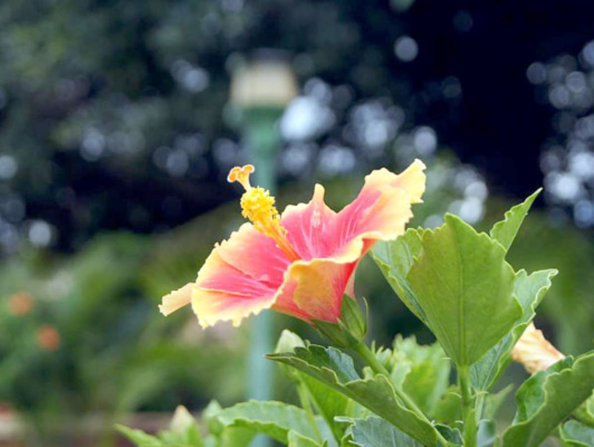 Fotos de los lectores para el Día de la Tierra