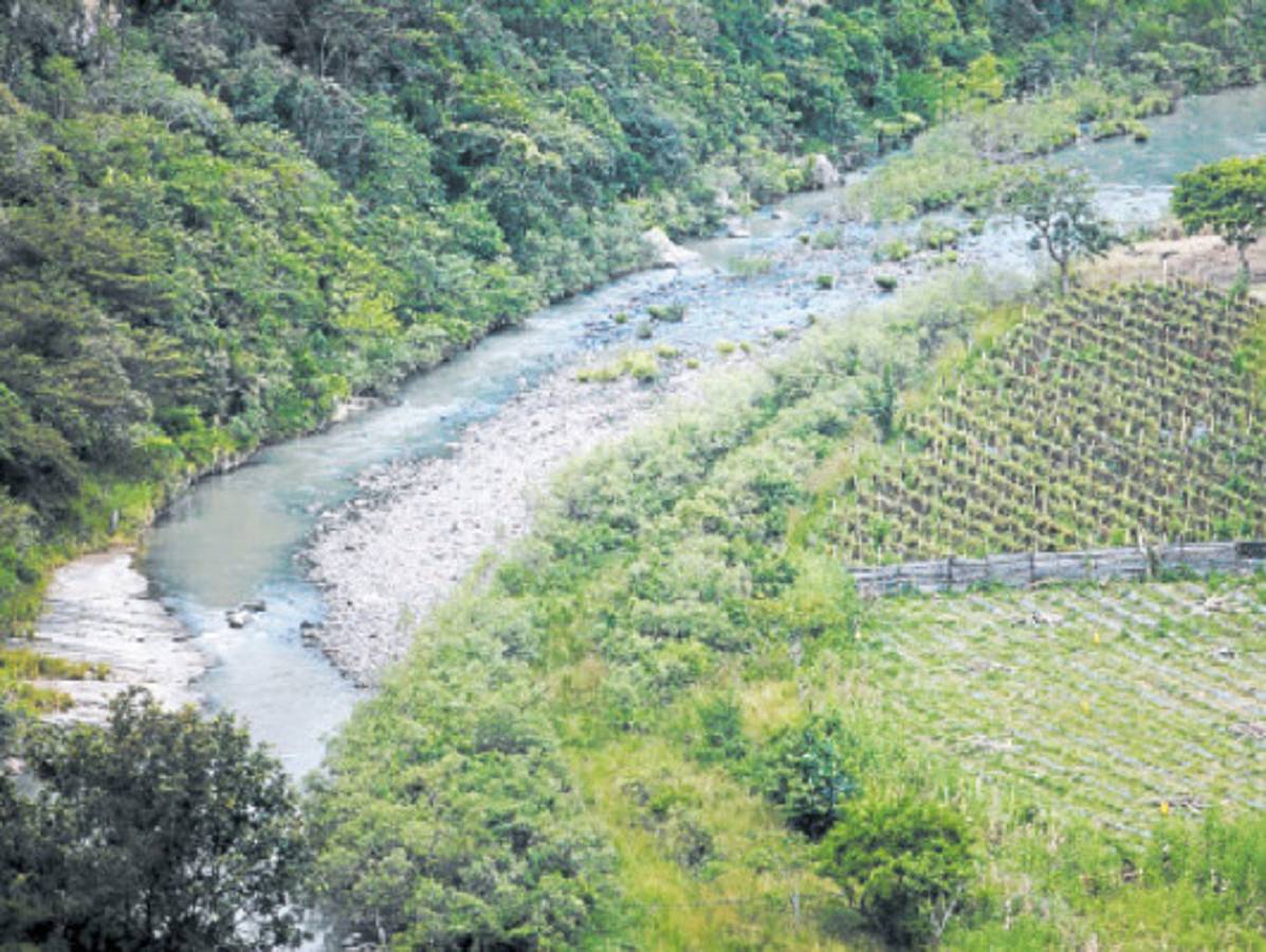 Guacerique II tendrá tres cortinas de concreto