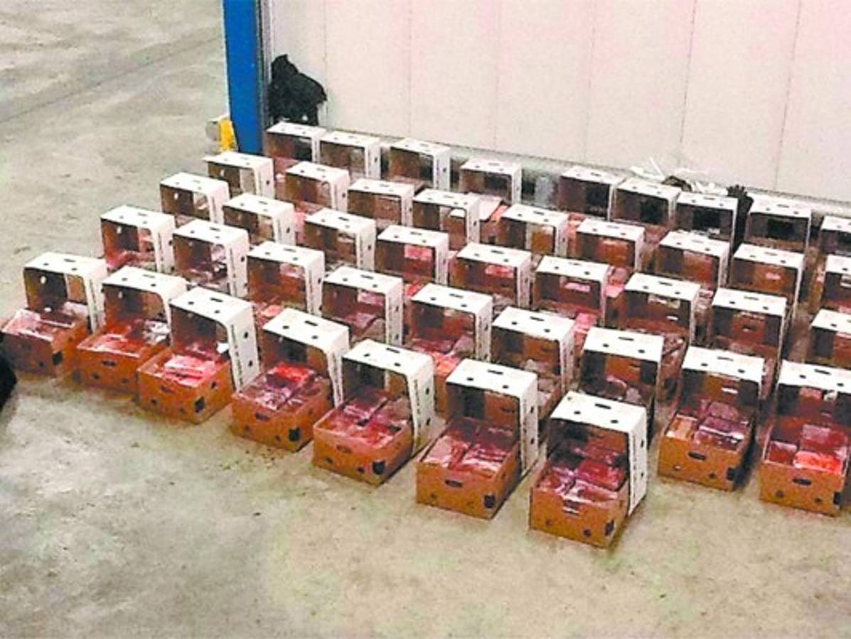 Incautan coca en Róterdam