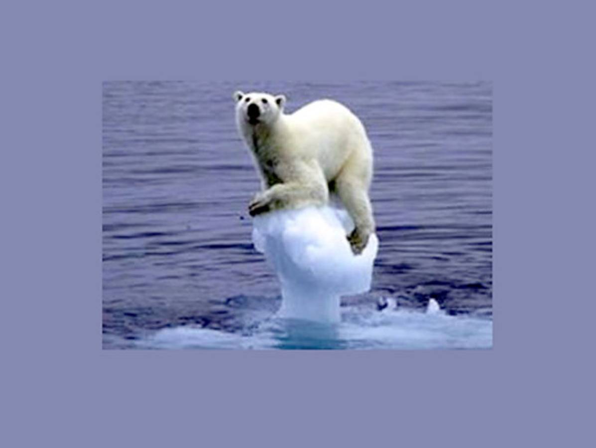 Hoy se conmemora el Día Mundial de la Tierra