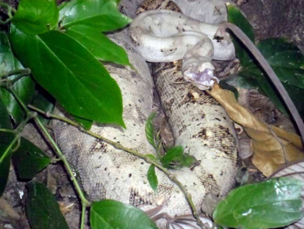 Fotos de los lectores para el Día de la Tierra