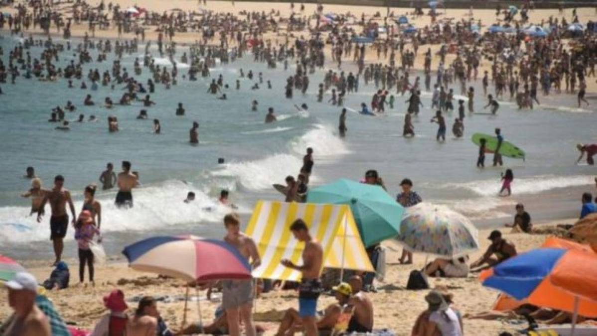 FOTOS: Huevos cocidos, llantas derretidas y animales muertos deja intensa ola de calor en Australia
