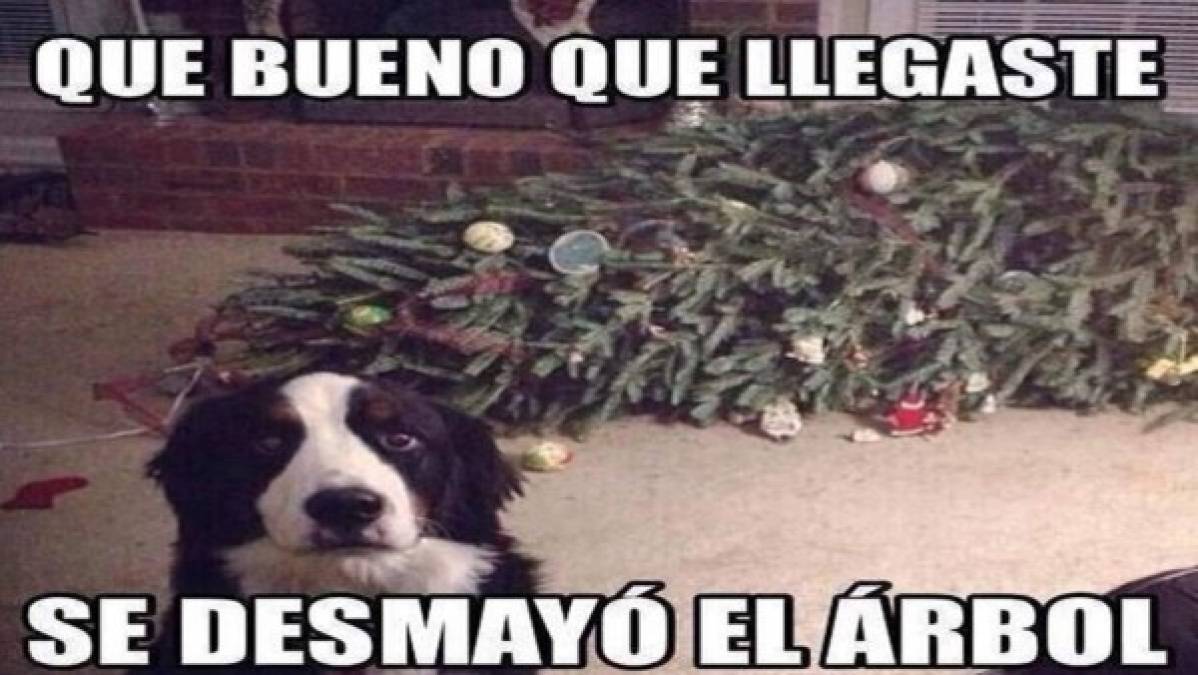 ¡A reír! Divertidos memes inundan las redes para darle la bienvenida a la Navidad 2017