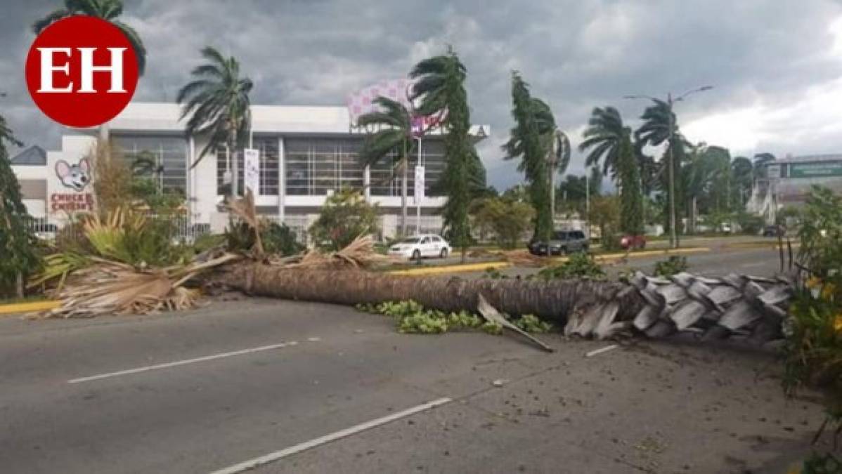 FOTOS: Vehículos arrastrados por la corriente, hoyos y calles inundadas, los estragos de las lluvias en Honduras