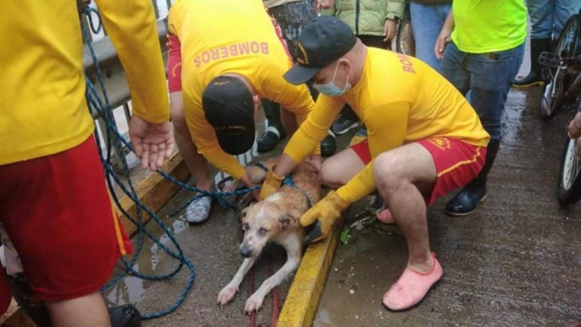 Decenas de familias continúan siendo evacuadas por impacto de Eta en Honduras (FOTOS)