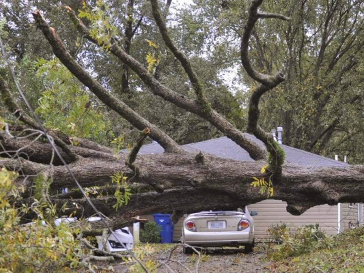 Alertan sobre posibles tormentas en sureste de Estados Unidos durante jornada electoral